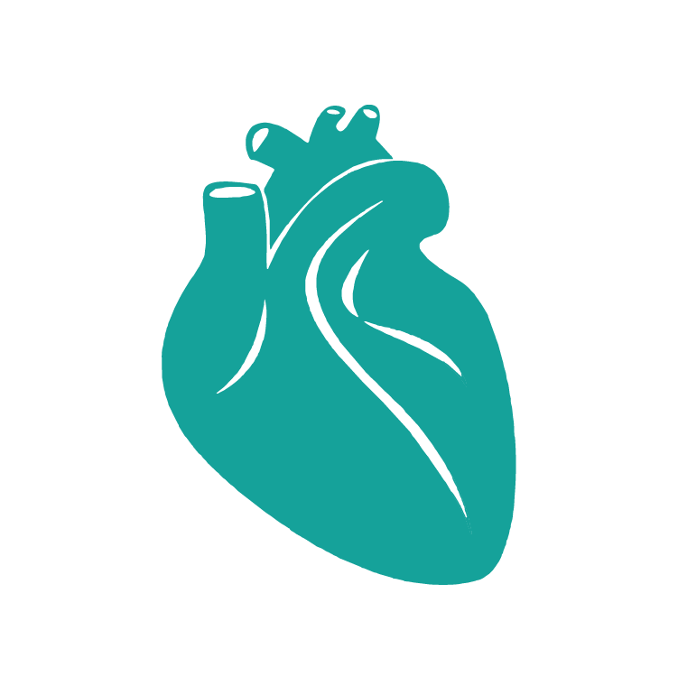 Cardiology-03